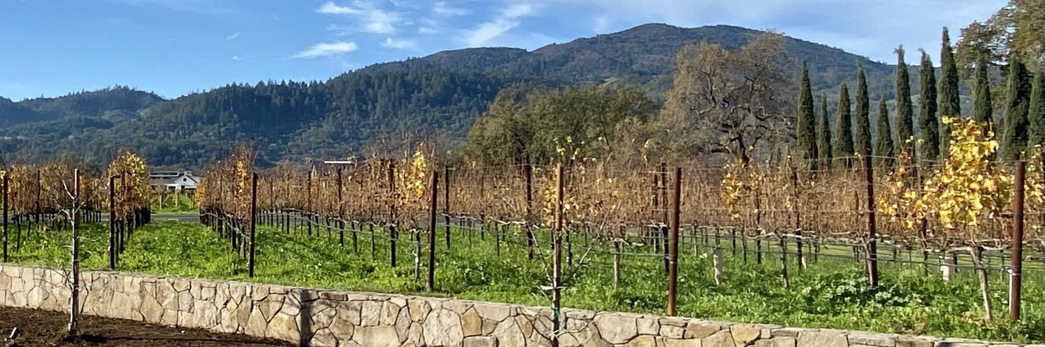cahorsham's profile banner image
