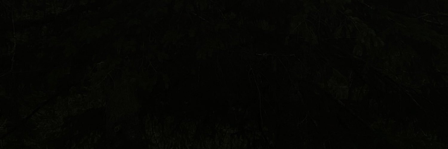 madisoncheval's profile banner image