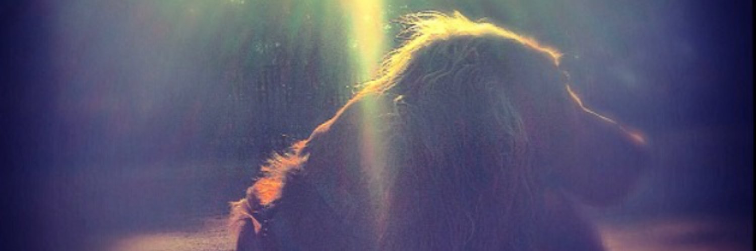 DylanBalkind's profile banner image