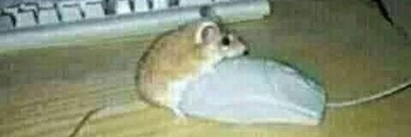 tanaka2267 Profile Banner