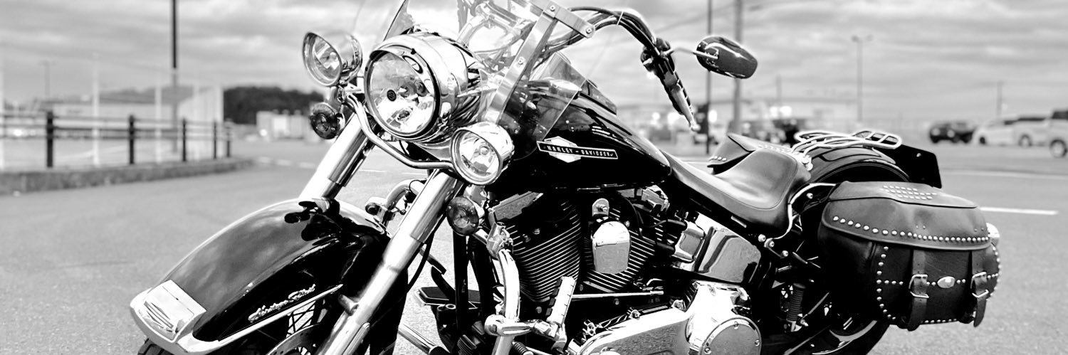 アフロ・レイ banner