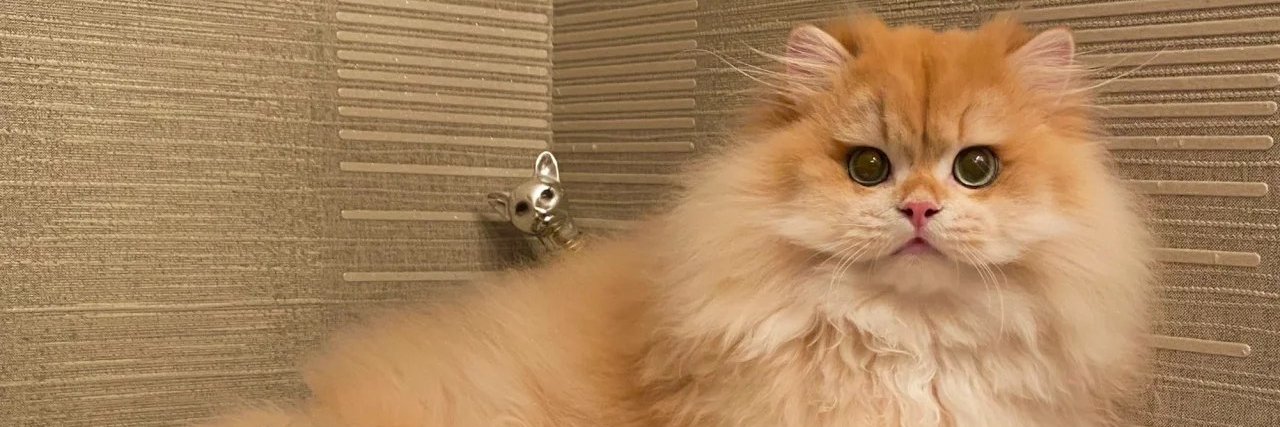 katiehardy89's profile banner image