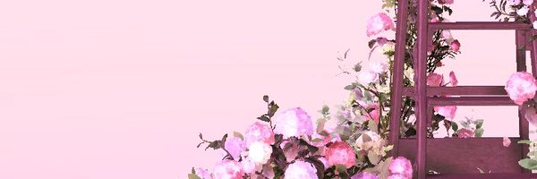 snowykayy Profile Banner