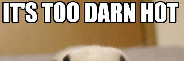 LuxsyVT Profile Banner