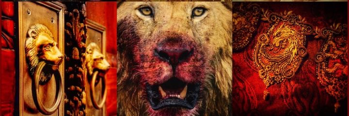 𝑪𝒆𝒓𝒔𝒆𝒊 𝑳𝒂𝒏𝒏𝒊𝒔𝒕𝒆𝒓 banner