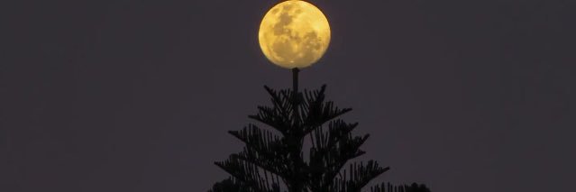 María Eugenia Gar banner