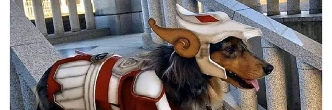 blopafoster's profile banner image