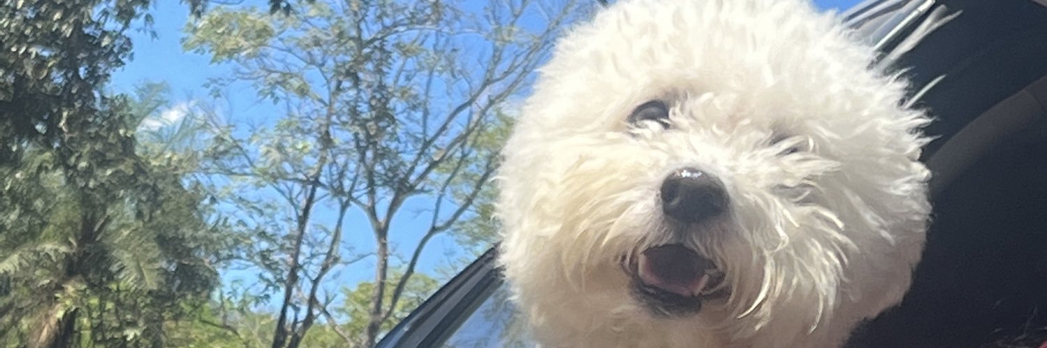 krystelRodrigu's profile banner image