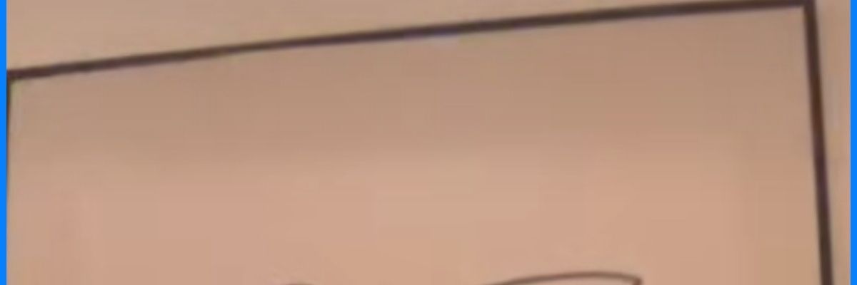Lawrab banner