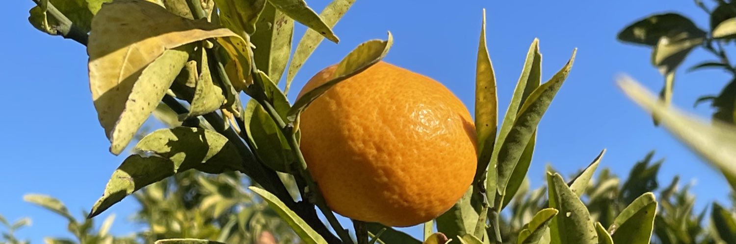 laalbiol's profile banner image