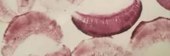 rae ִ ࣪𖤐 banner