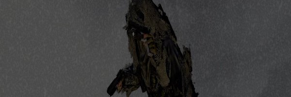 DesireSpins Profile Banner