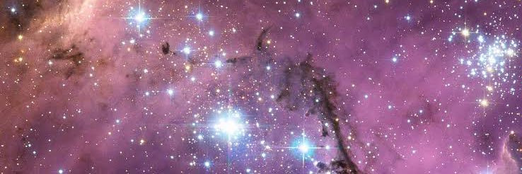 El Psy Congroo banner