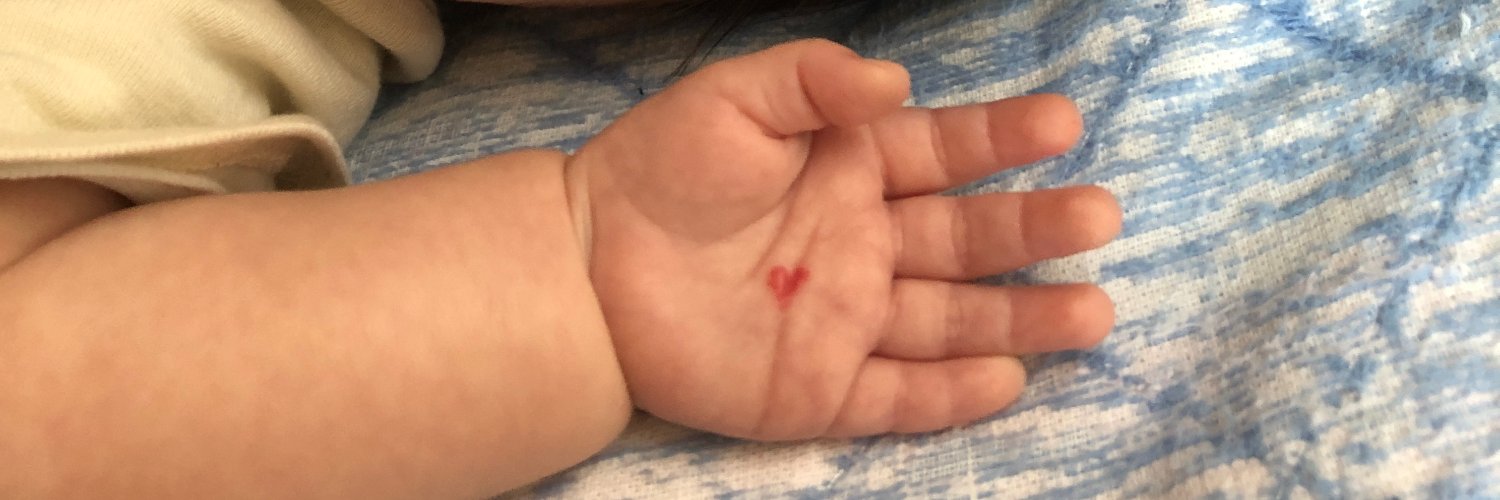 ｼﾛﾆｺﾌ banner