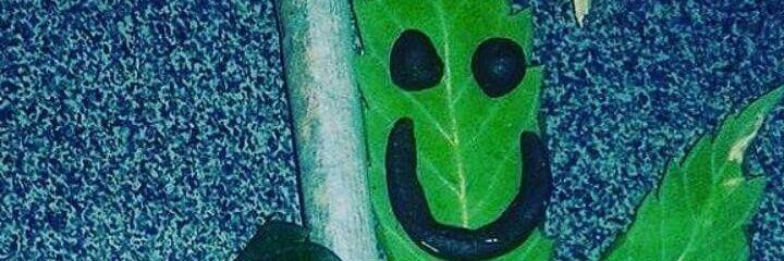 pqpBe's profile banner image