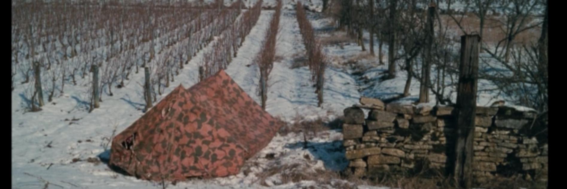 beyzamese's profile banner image