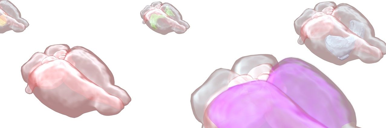 vaniacao's profile banner image