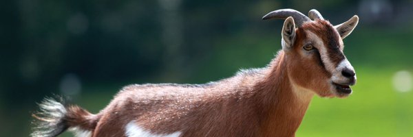Aron225710 Profile Banner
