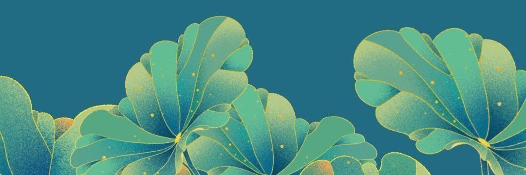 oconnob01's profile banner image