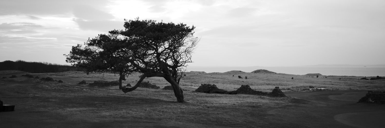 nathanGallagher's profile banner image