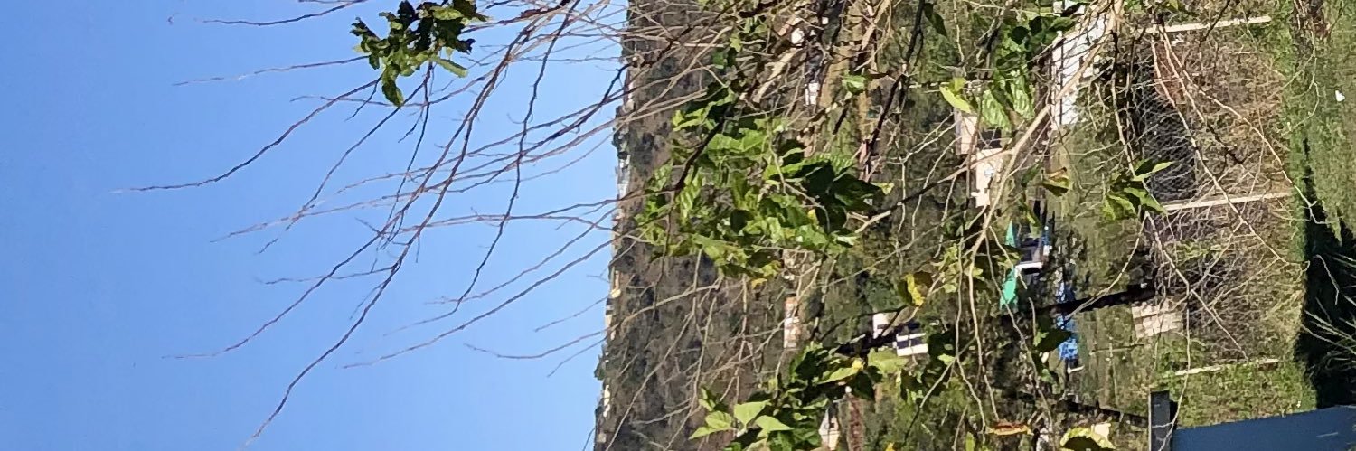 031Big Darkie banner