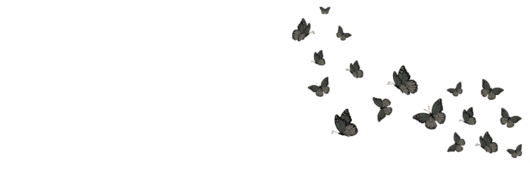 〢 ‍𝐓𝙾𝚁𝙽 ‍𝓦𝙸𝙽𝙶. ༊󠀺's banner