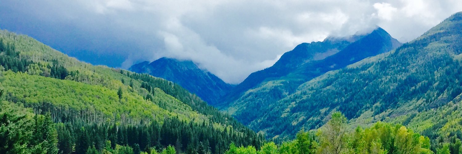 Paul Cavanagh banner