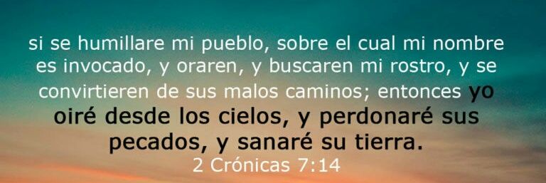 princesa_thaby's profile banner image