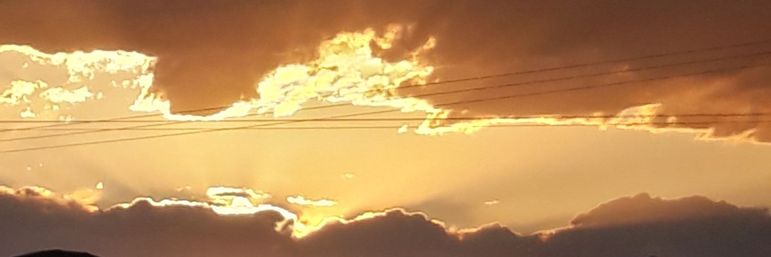 shanazemi's profile banner image