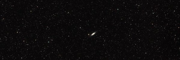 drhamburgler Profile Banner