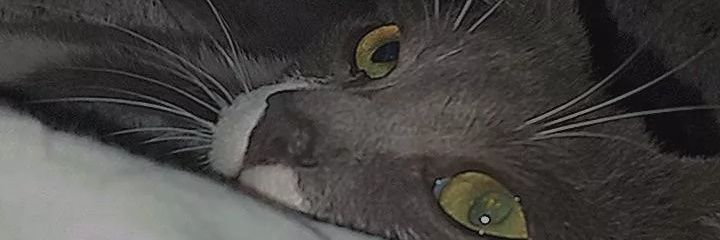 younglean1312's profile banner image