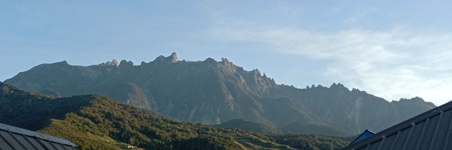 lela banner