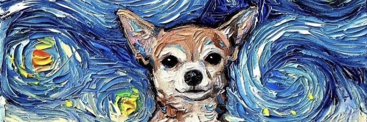 sgalvezc's profile banner image
