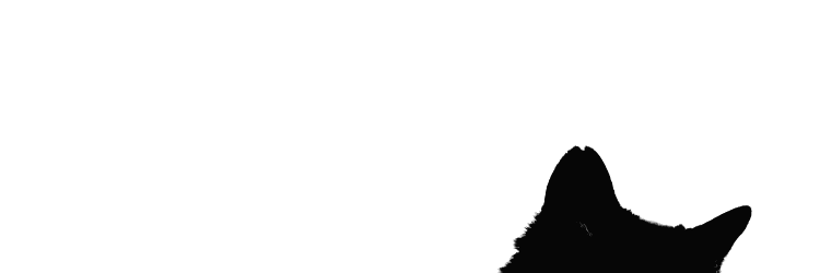 𝓱𝐚𝐫𝐝𝐲͟.͟ banner