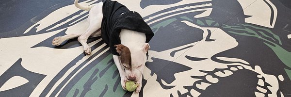 SeanEperjesi Profile Banner