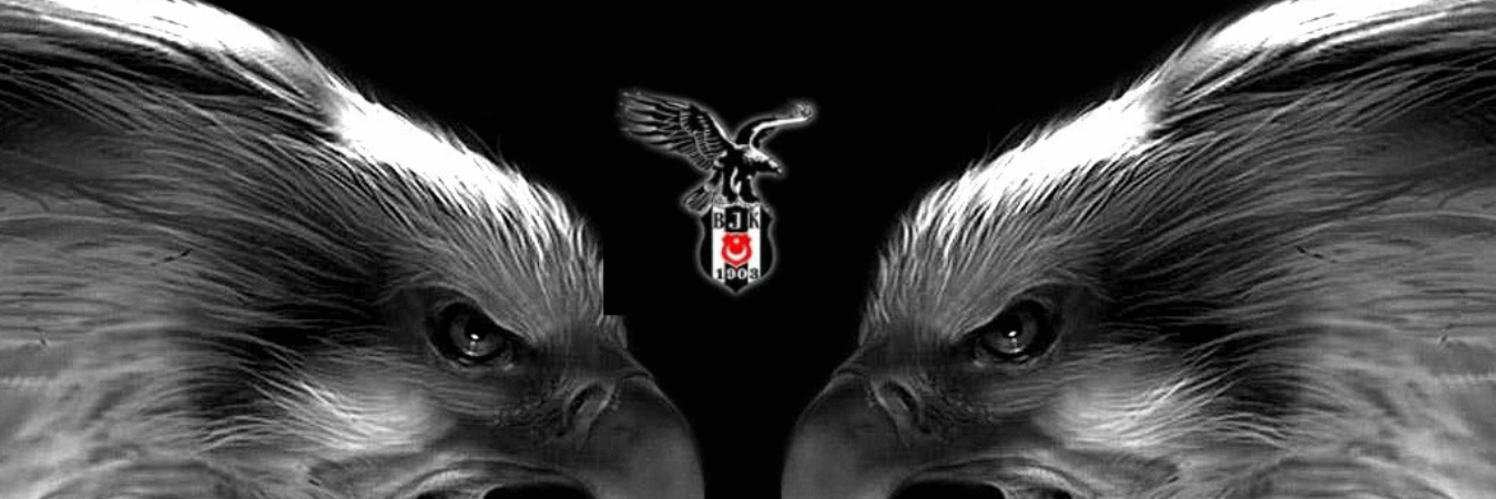 DIDOSU's profile banner image