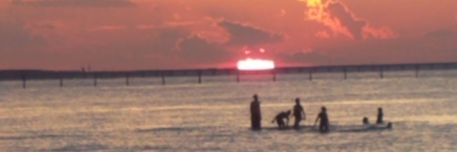 llworkout's profile banner image
