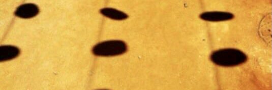 fgallmon's profile banner image