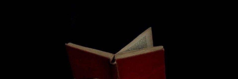 elifsenaG's profile banner image