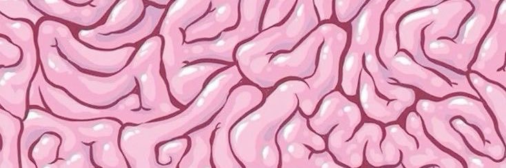 sammy ִֶָ. ..𓂃 ࣪ ִֶָ🪽་༘࿐ banner