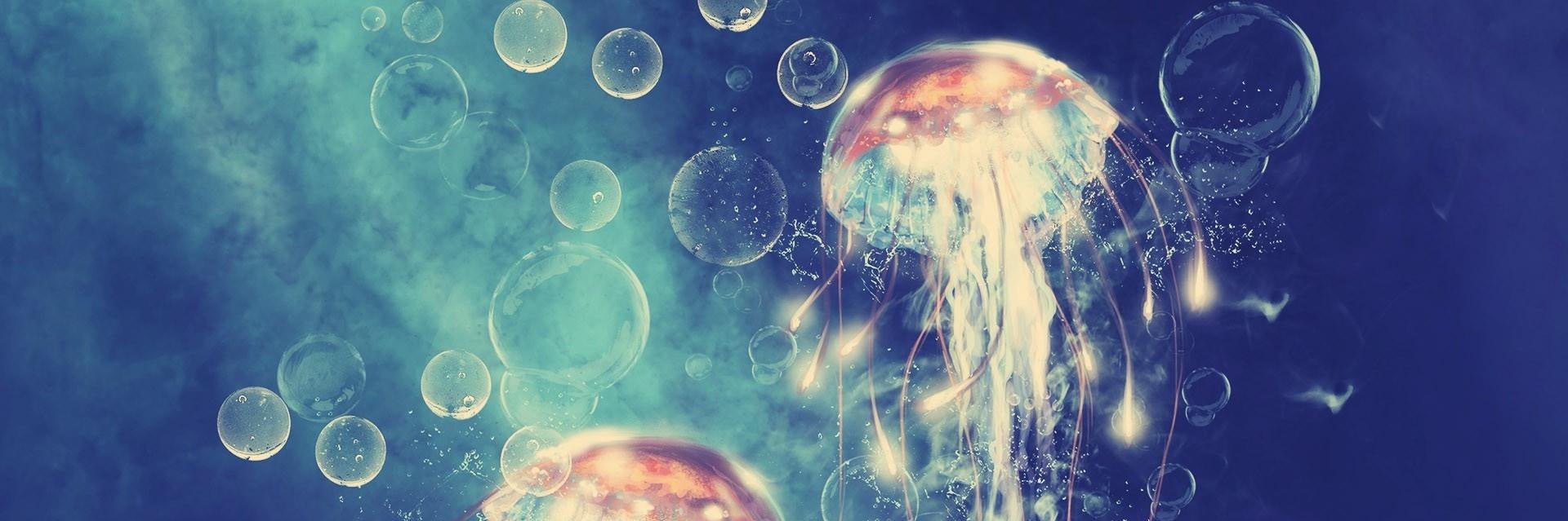 AlexandraGuinn's profile banner image