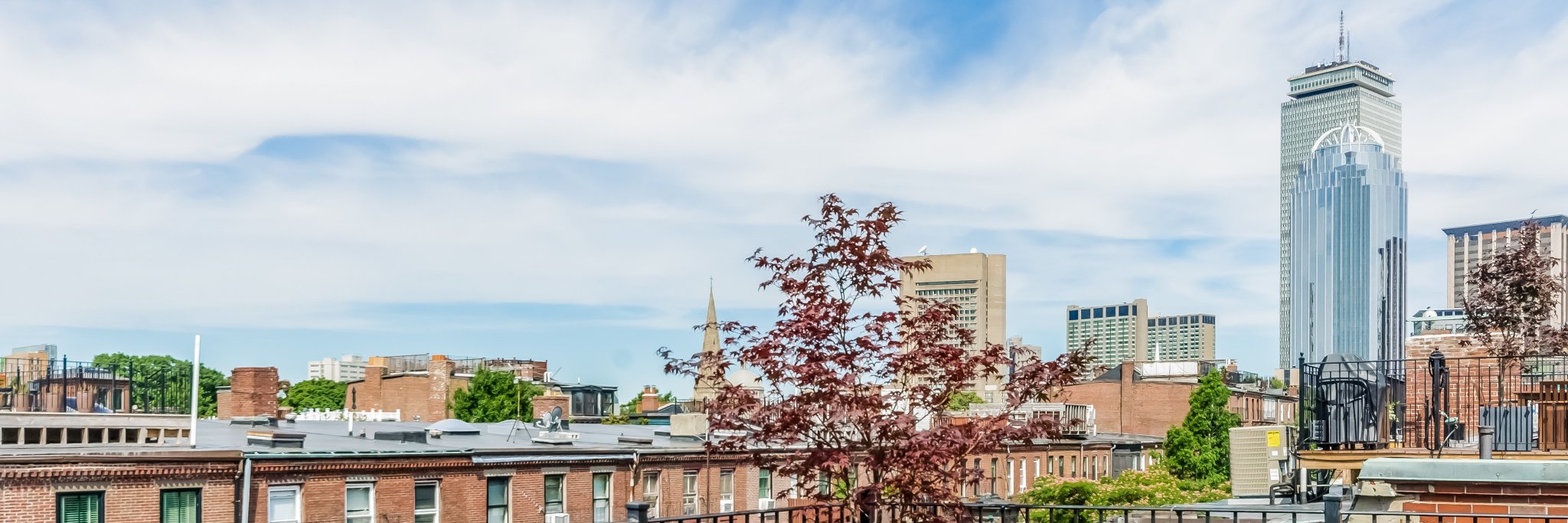 AmyGoldberg's profile banner image