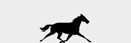 The Punters Mail banner