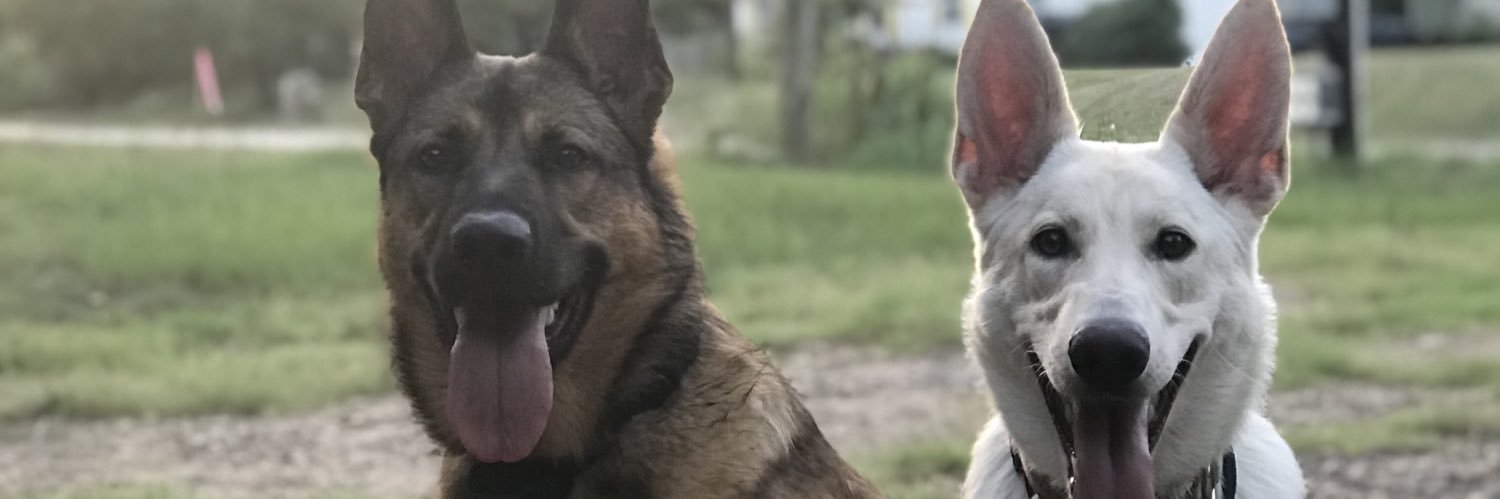 BAILEY__ALANIS's profile banner image