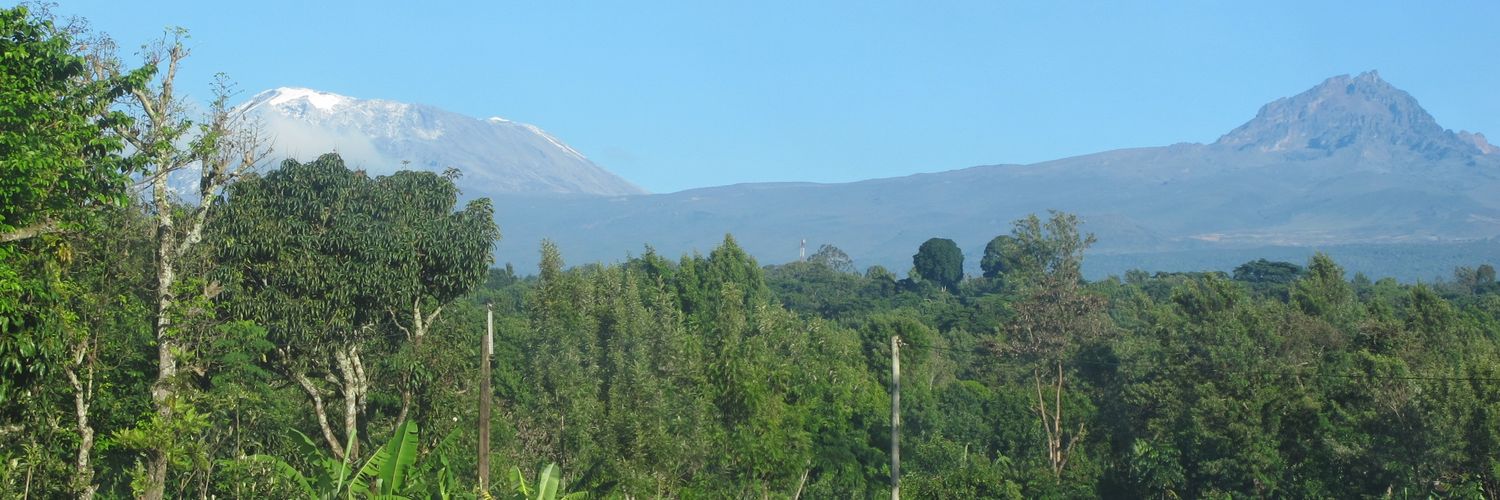 bergef's profile banner image