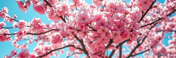 Iffat_Naqvii Profile Banner