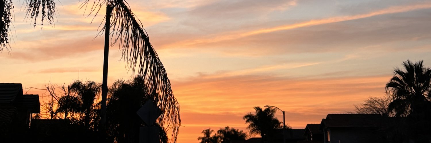 drearosaless's profile banner image