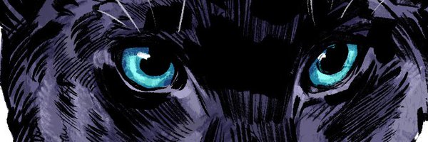 TerrainBara Profile Banner