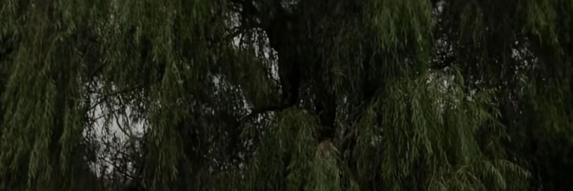 gf53dg's profile banner image