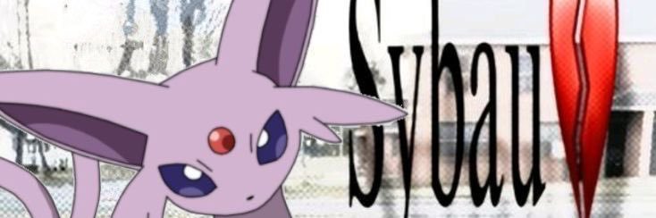 mae banner